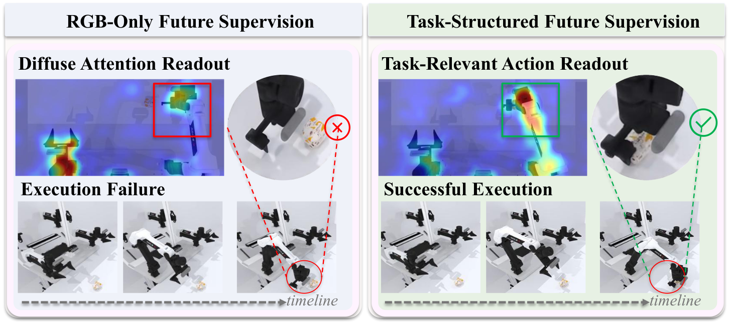 Qualitative comparison of action readout under RGB-only and structured supervision